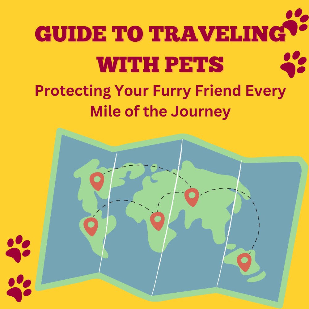 The Ultimate Guide to Traveling with Pets: Protecting Your Furry Friend Every Mile of the Journey