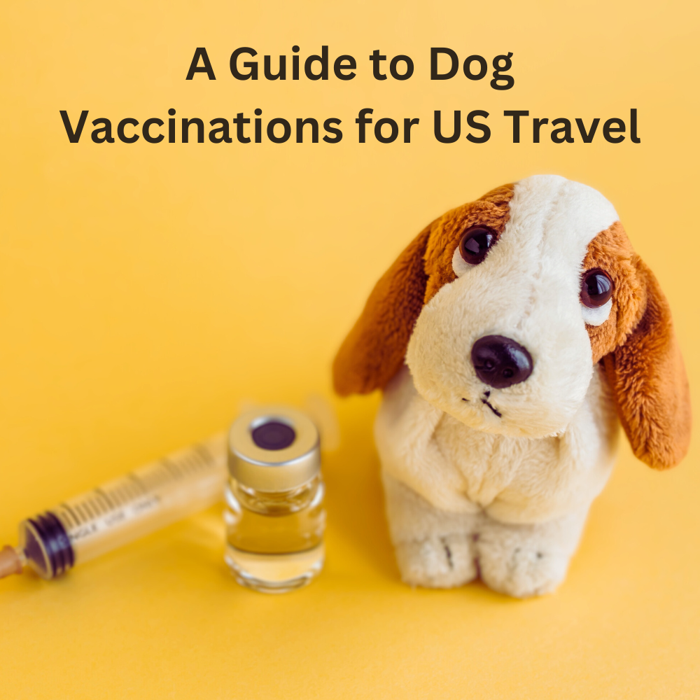 Ensuring a Paw-positive Entry: A Guide to Dog Vaccinations for US Travel
