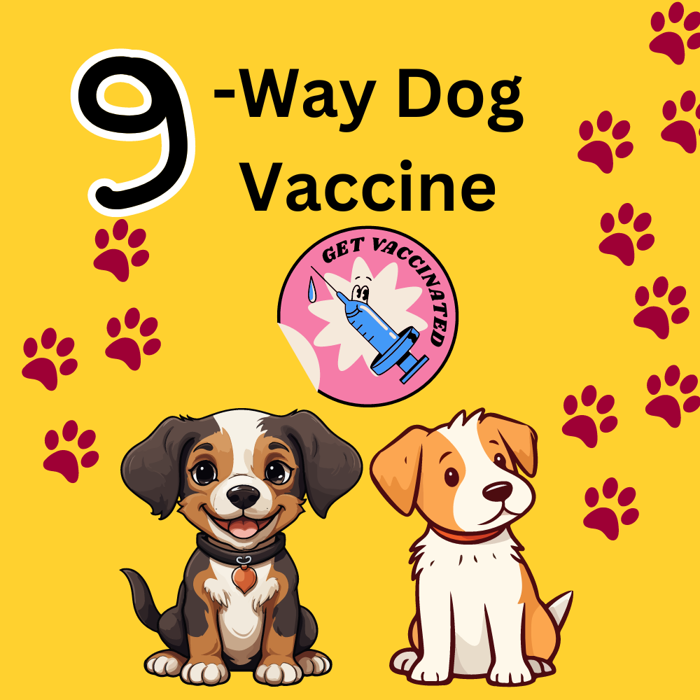 The Ultimate Guide to the 9-Way Dog Vaccine: