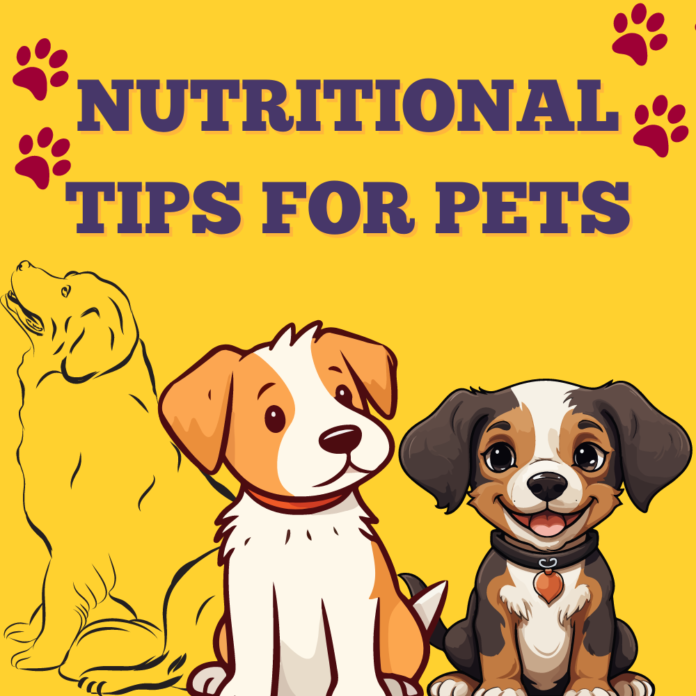 Nutritional Tips for Pets: The Ultimate Guide to a Well-fed Fido