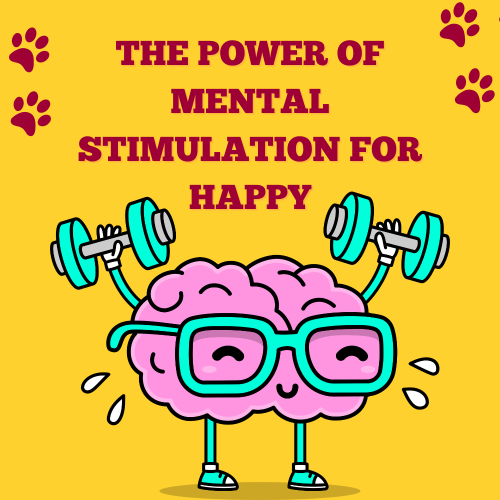 Unlocking Pet Joy: The Power of Mental Stimulation for Happy, Engaged Pets