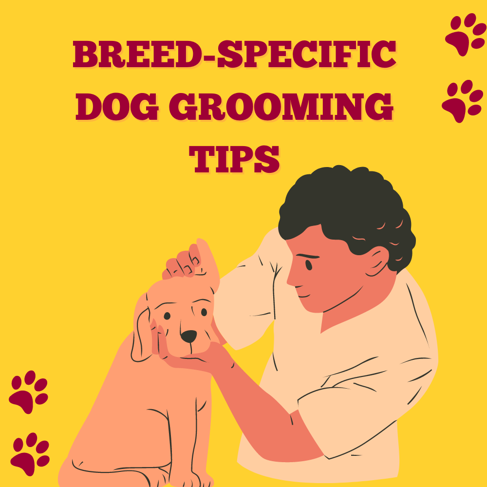 Groom Like a Pro: Breed-Specific Dog Grooming Tips