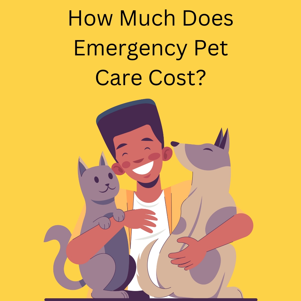 How Much Does Emergency Pet Care Cost?
