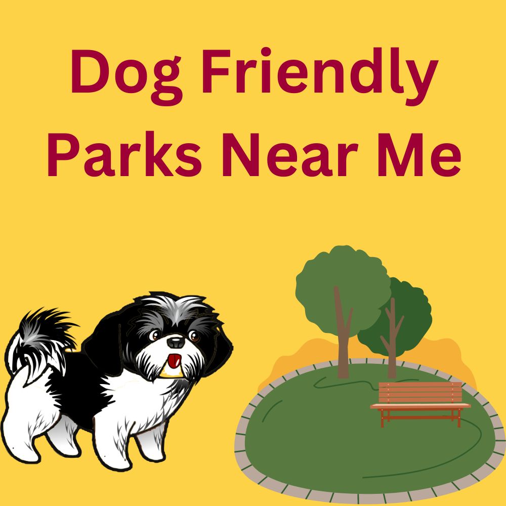 Dog Friendly Parks Near.