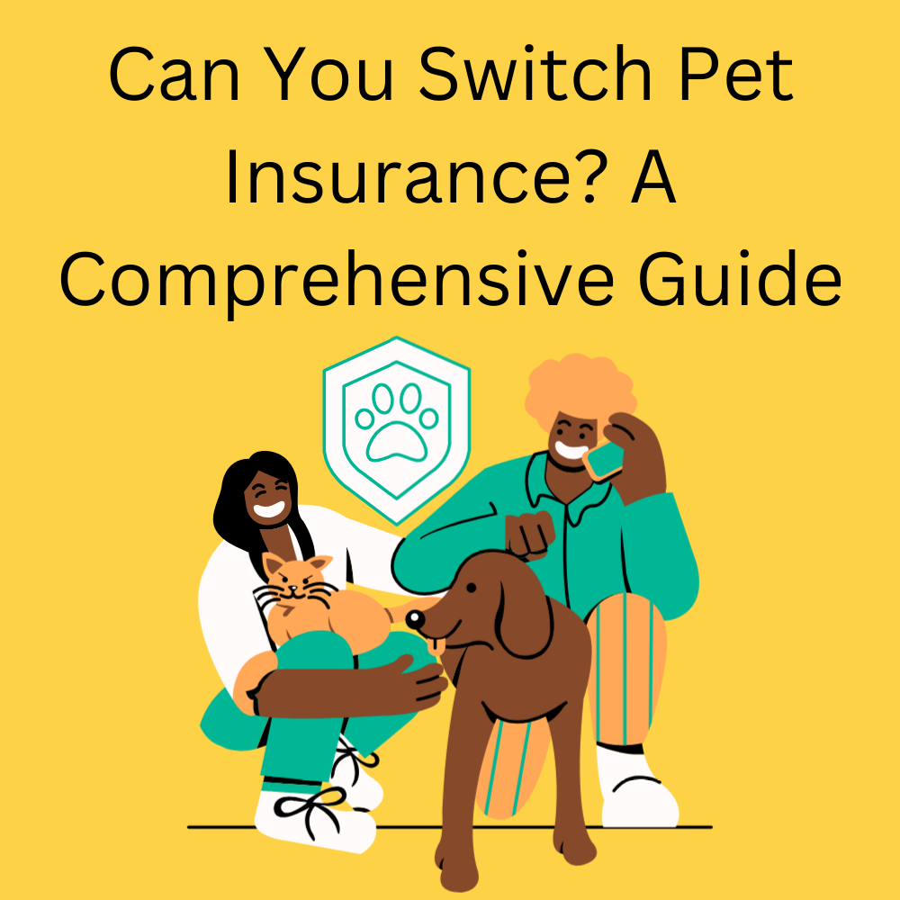 Can You Switch Pet Insurance? A Comprehensive Guide