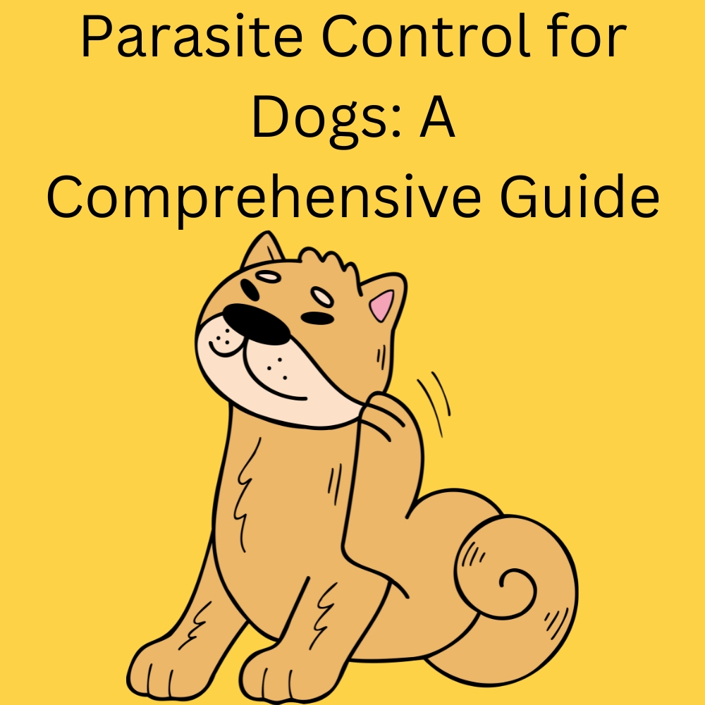 Parasite Control for Dogs: A Comprehensive Guide