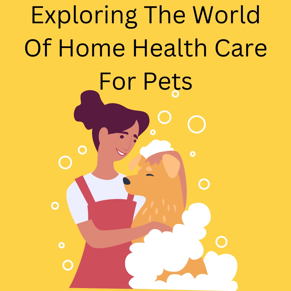 Exploring the World of Home Health Care for Pets