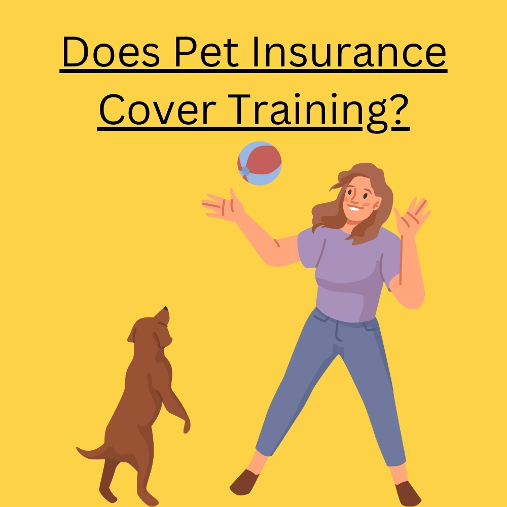 Does Pet Insurance Cover dog Training?