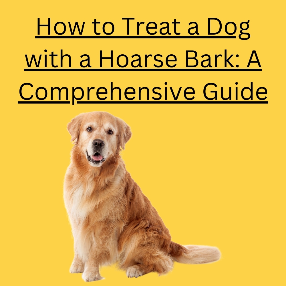 How to Treat a Dog with a Hoarse Bark: A Comprehensive Guide