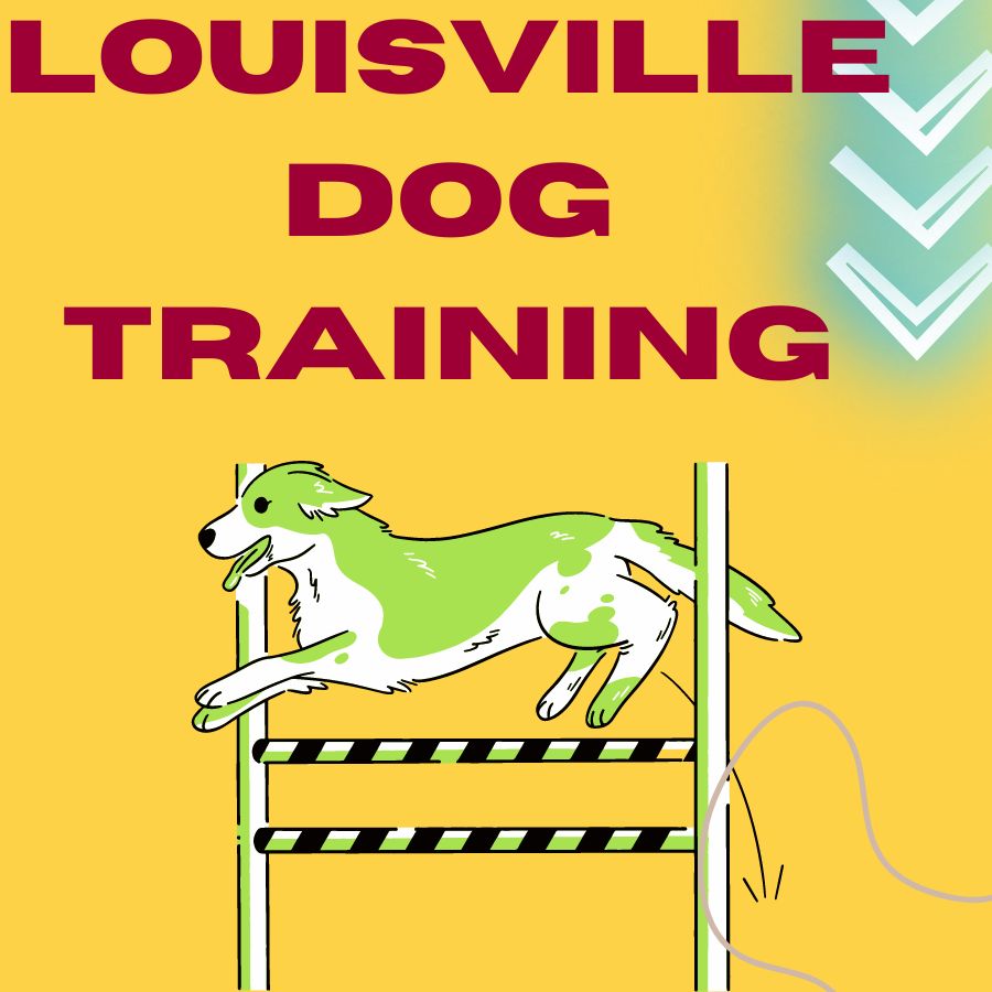 Louisville Dog Training: A Comprehensive Guide for Pet Owners