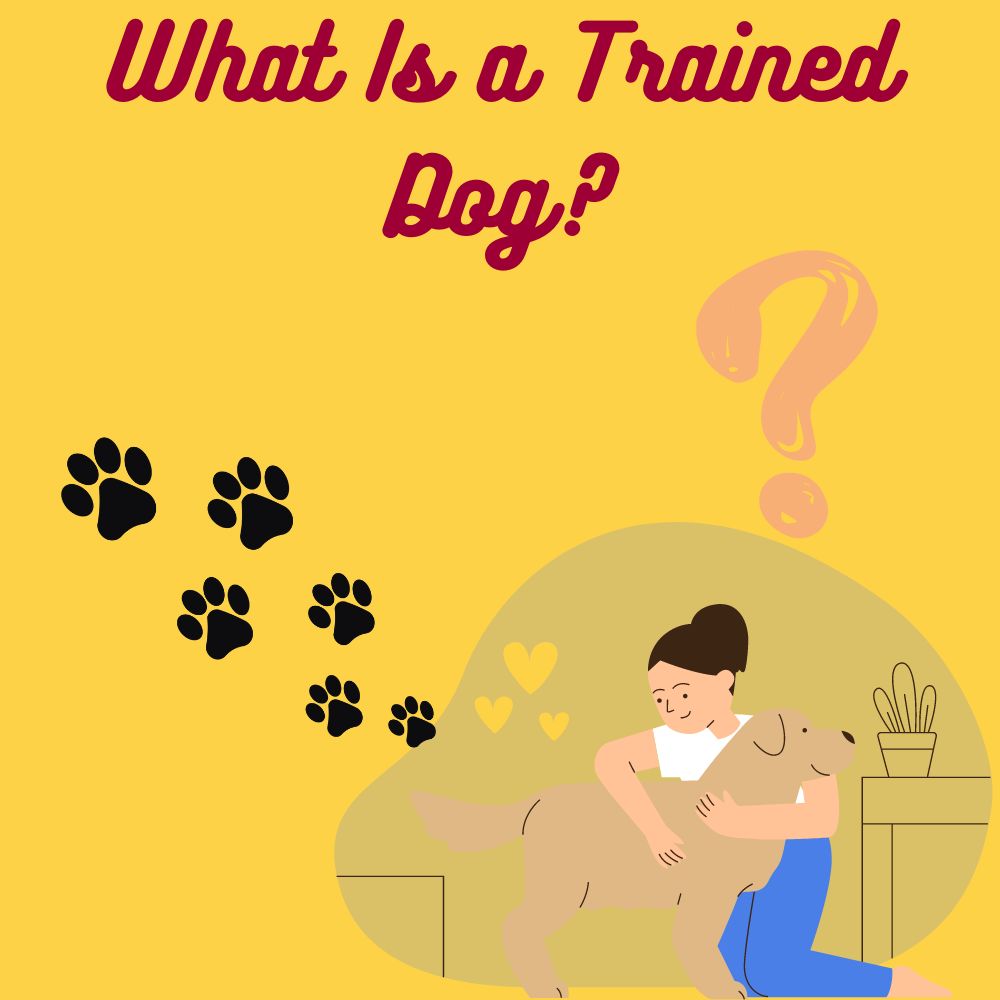 What Is a Trained Dog?