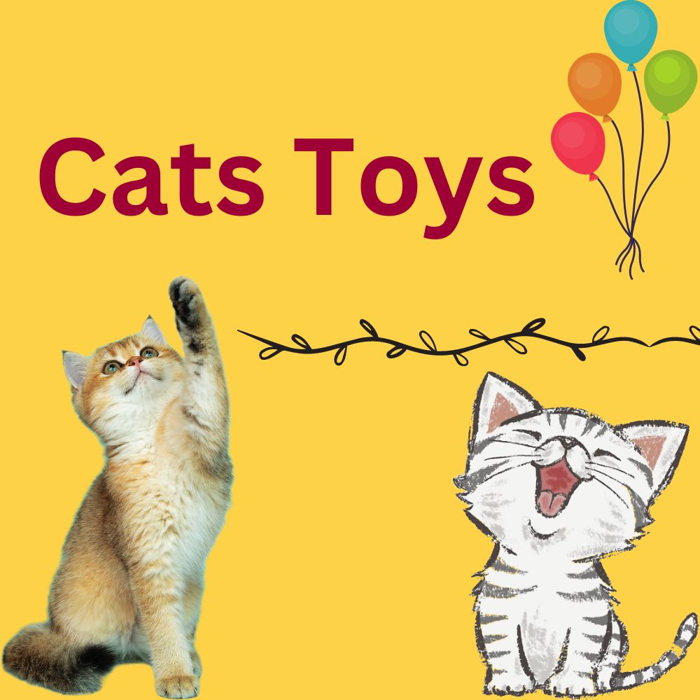 Cat Toys and How to Use Them