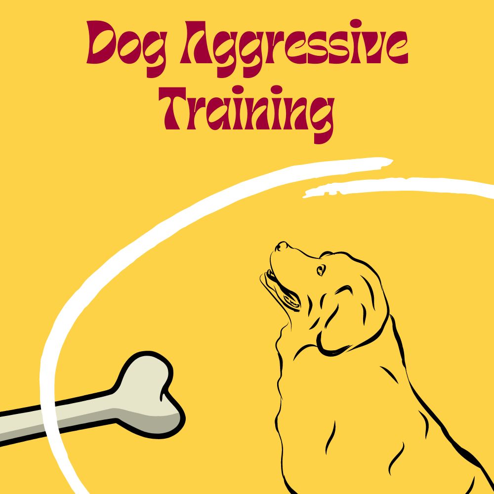 The Importance of Aggressive Dog Training