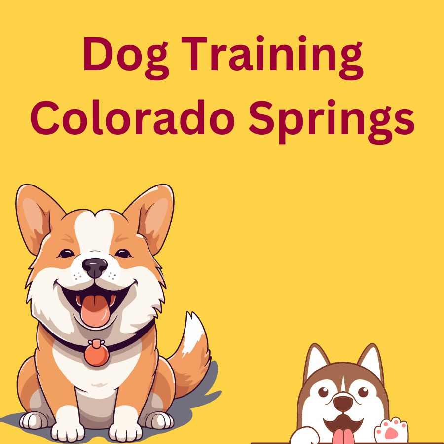 Dog Training Colorado Springs: Everything You Need to Know