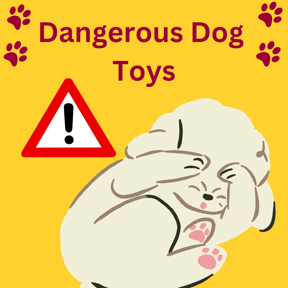 Dangerous Dog Toys: A Guide to Avoiding Harmful Products