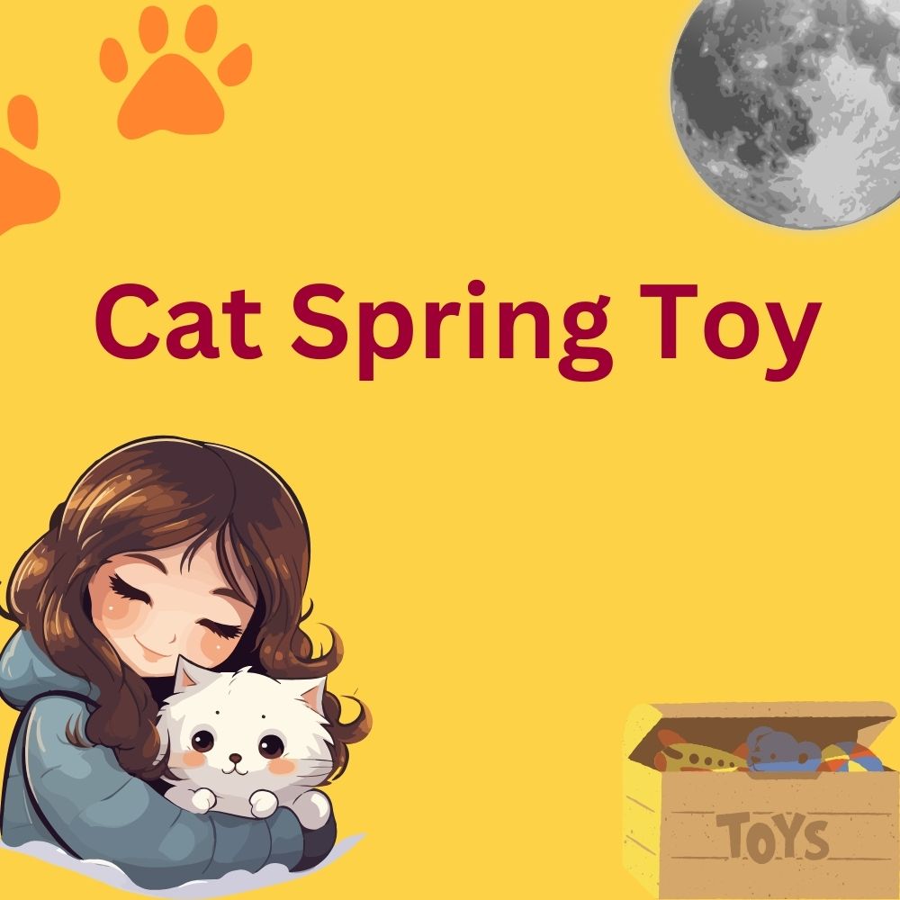 Cat Spring Toy: The Ultimate Playtime Companion